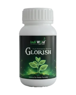 GLORISH