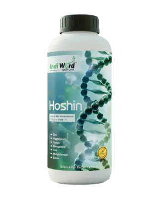 HOSHIN