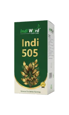 INDI 505
