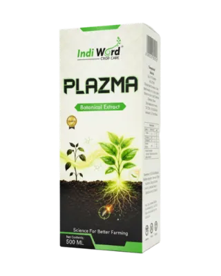 PLAZMA