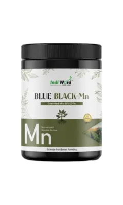 BLUE BLACK MN